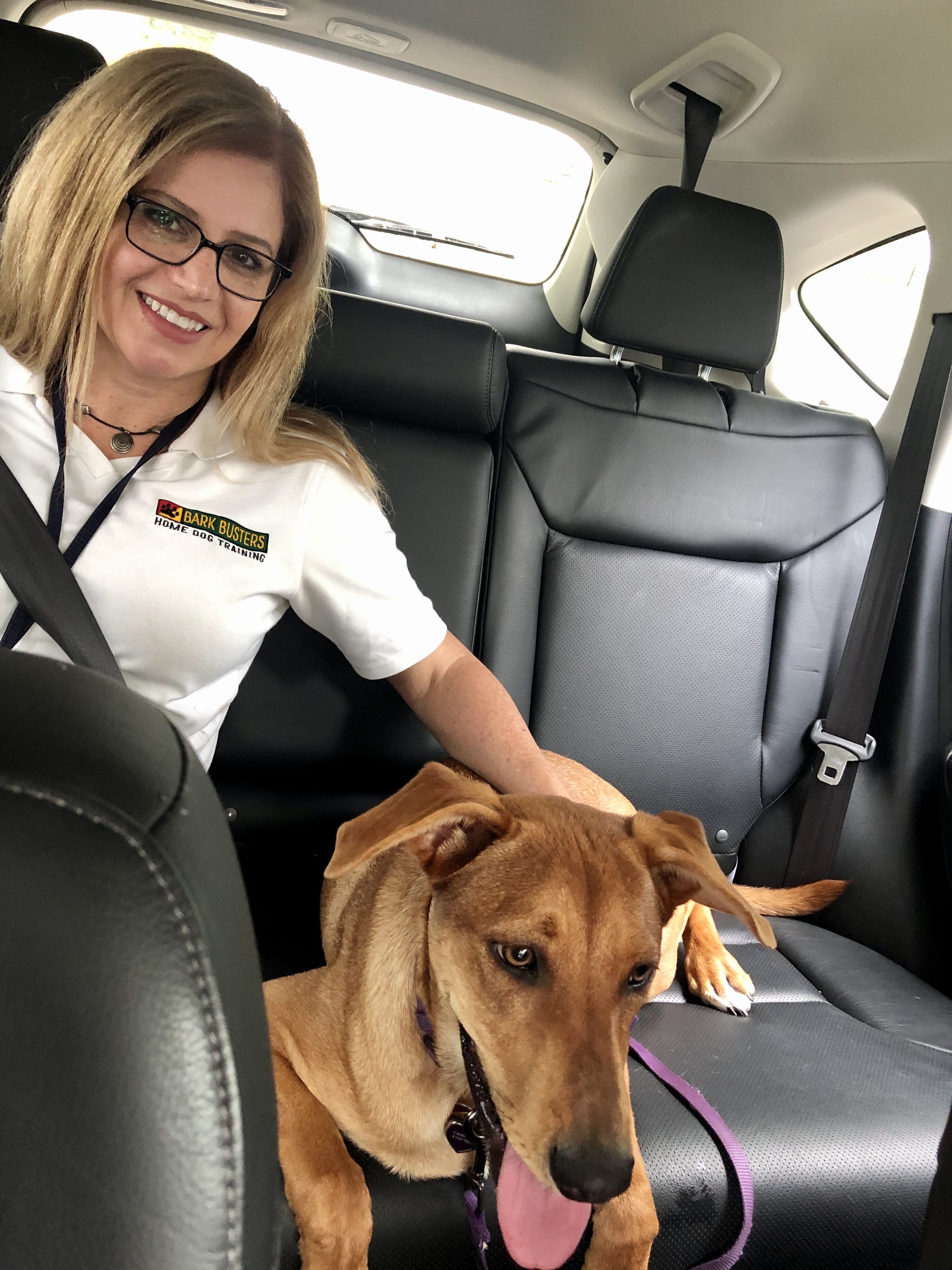 Happy in a Car with a Dog